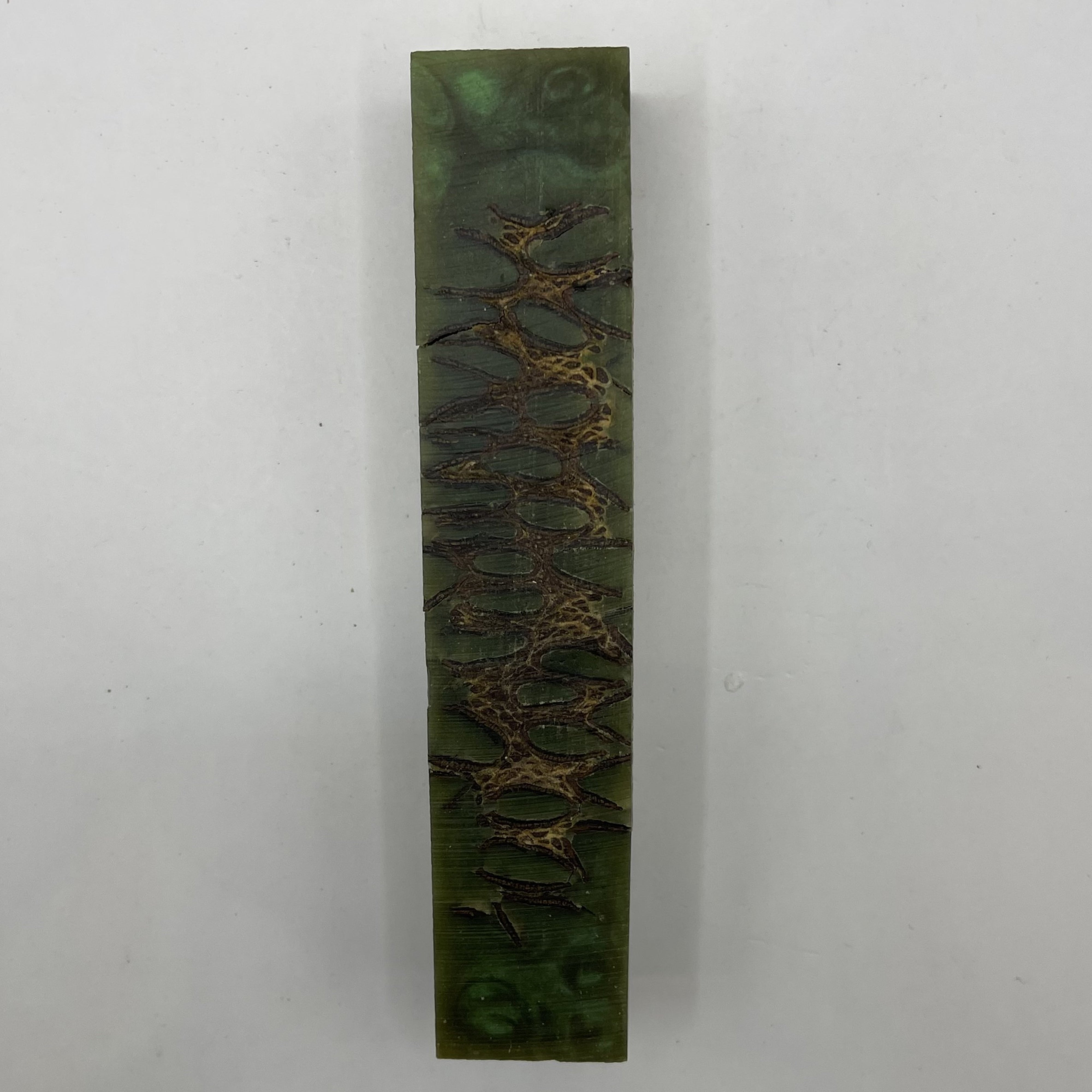 Sierra Ballpoint Banksia Pens