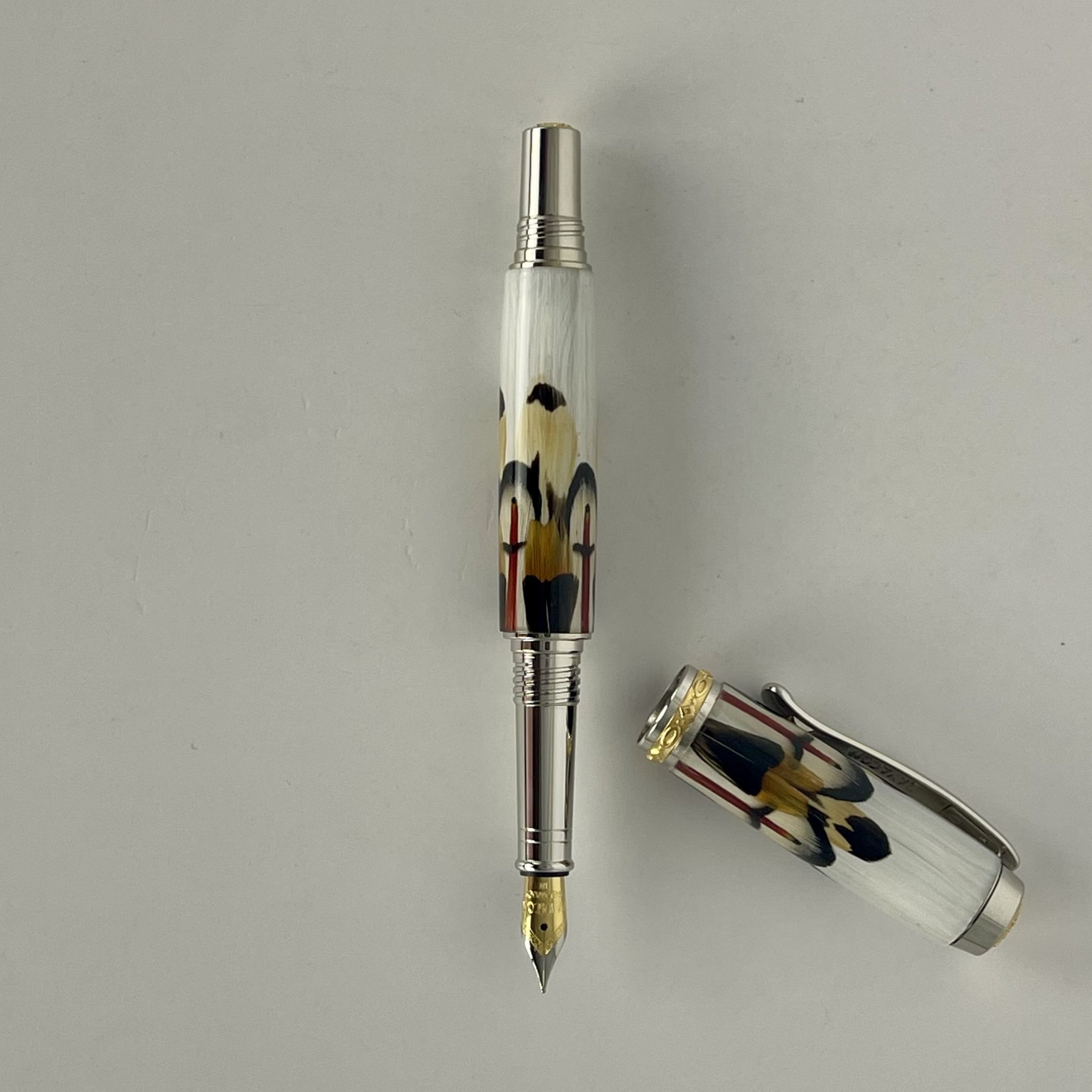 Limited Edition Jr Statesman II Fountain Fantastic Feathers Pens