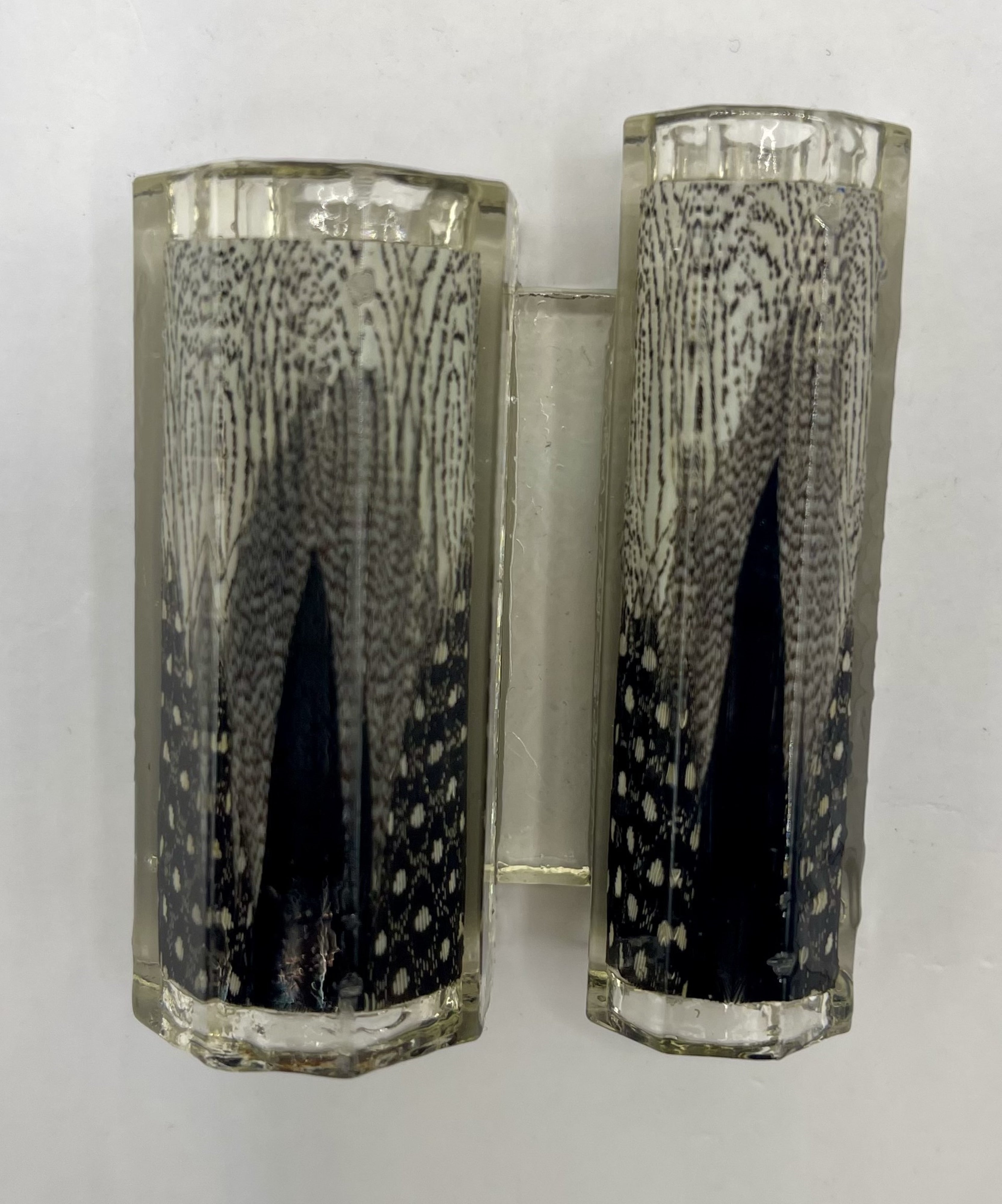 Limited Edition Majestic Fountain Fantastic Feathers Pens
