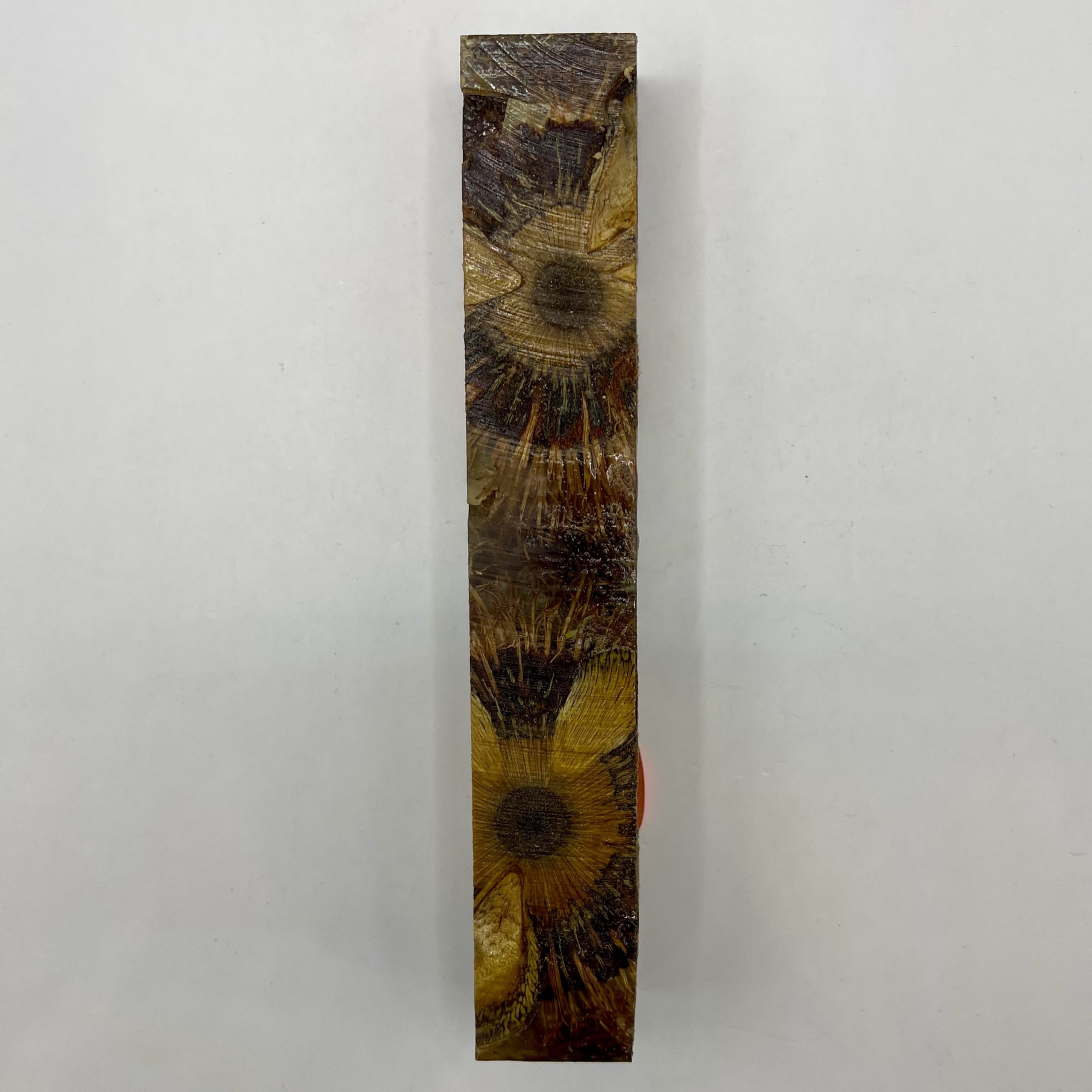 Sierra Ballpoint Banksia Pens