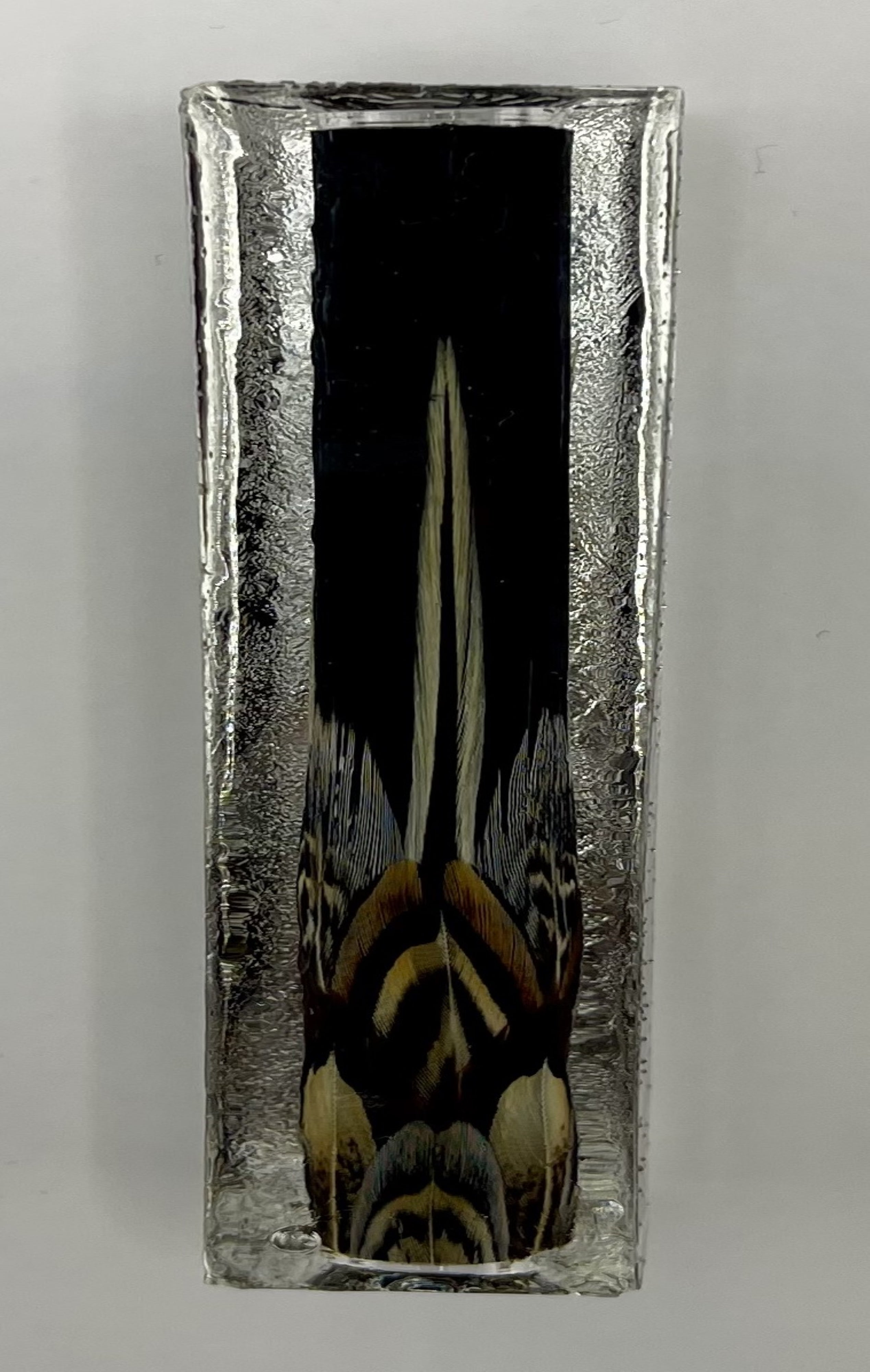 Limited Edition Com Rollerball Postable Fantastic Feathers Pens