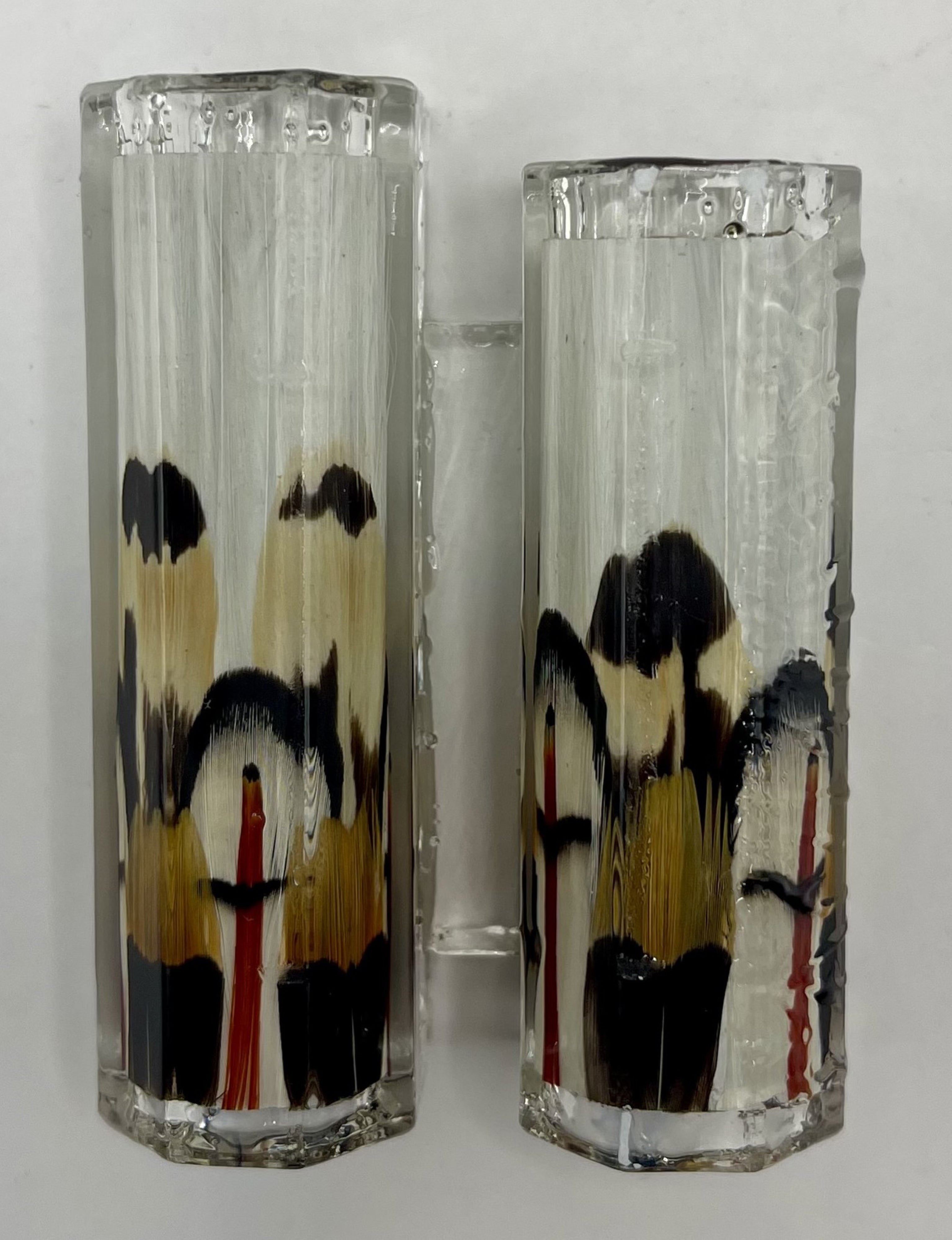 Limited Edition Jr Aaron Fountain Fantastic Feathers Pens